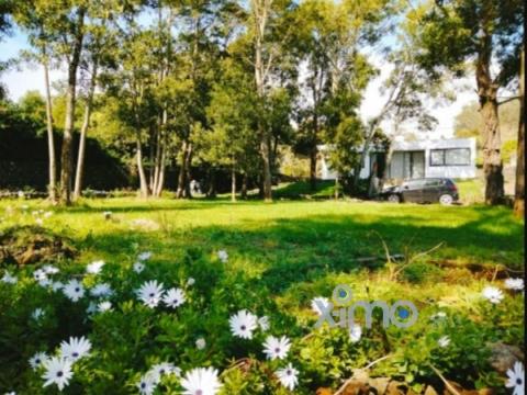 Abitazione 4+ camere