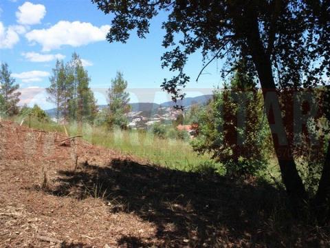 Terreno com projeto em aprovação na CMC para  Moradia Térrea nos Carvalhais de Baixo