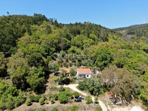 Quinta em Monchique, Algarve