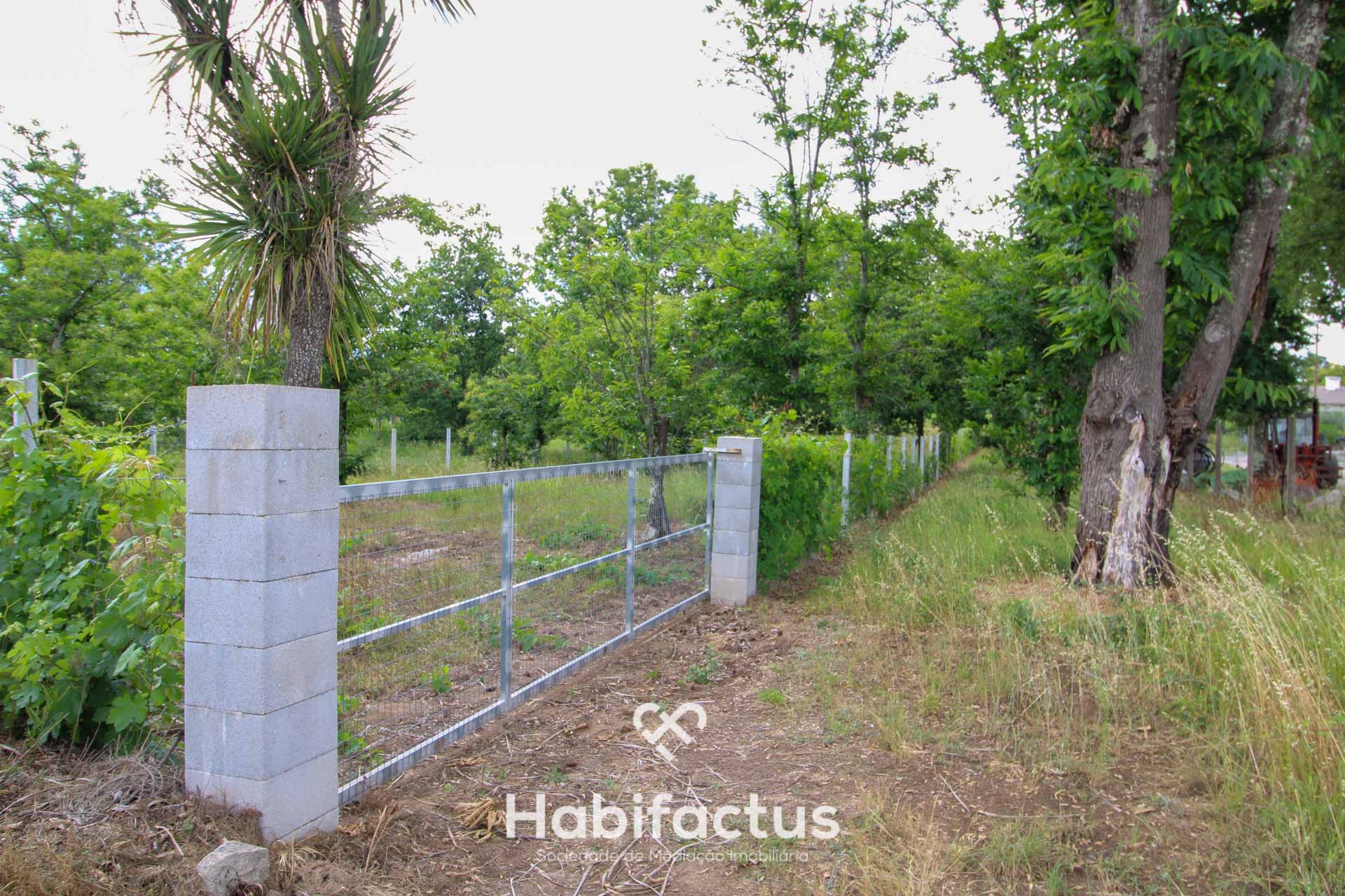 Land for sale in Tondela, Portugal — €91,000