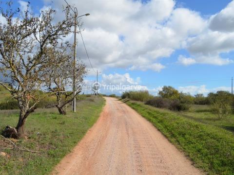 Invest in Prime Land in Pera mixed land