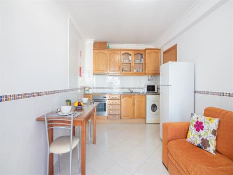 Apartamiento 1 habitación