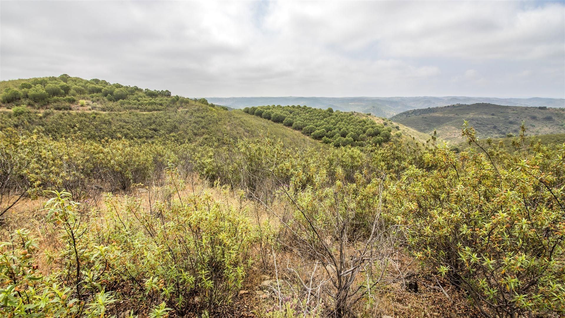 img_6