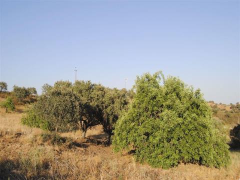 Terreno Rústico, Faro, Castro Marim