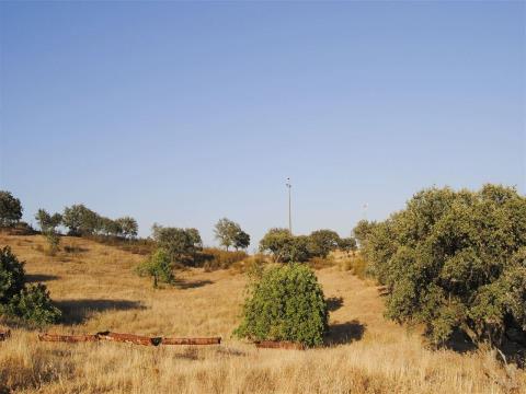 Terreno Rústico, Faro, Castro Marim