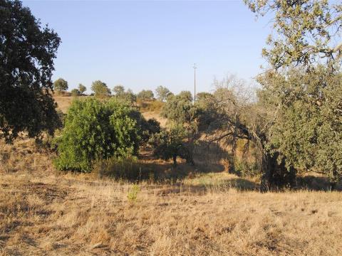 Terreno Rústico, Faro, Castro Marim