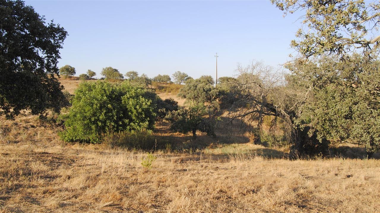 img_Terrain rural