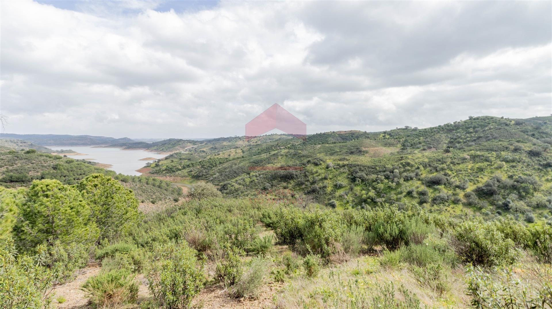 img_Terreno Rústico