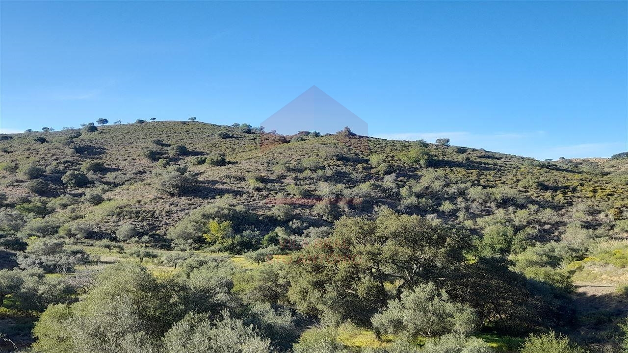 img_Terreno