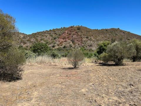 Terrain rural
