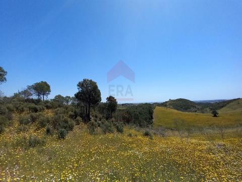Terreno Rústico, Faro, Castro Marim