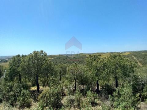 Terreno Rústico, Faro, Castro Marim