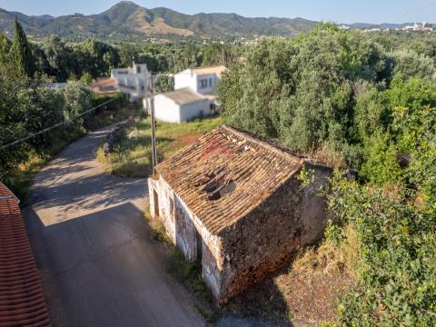 Rustico Casale 3 Vani