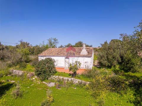 Casa Indipendente 4 Vani