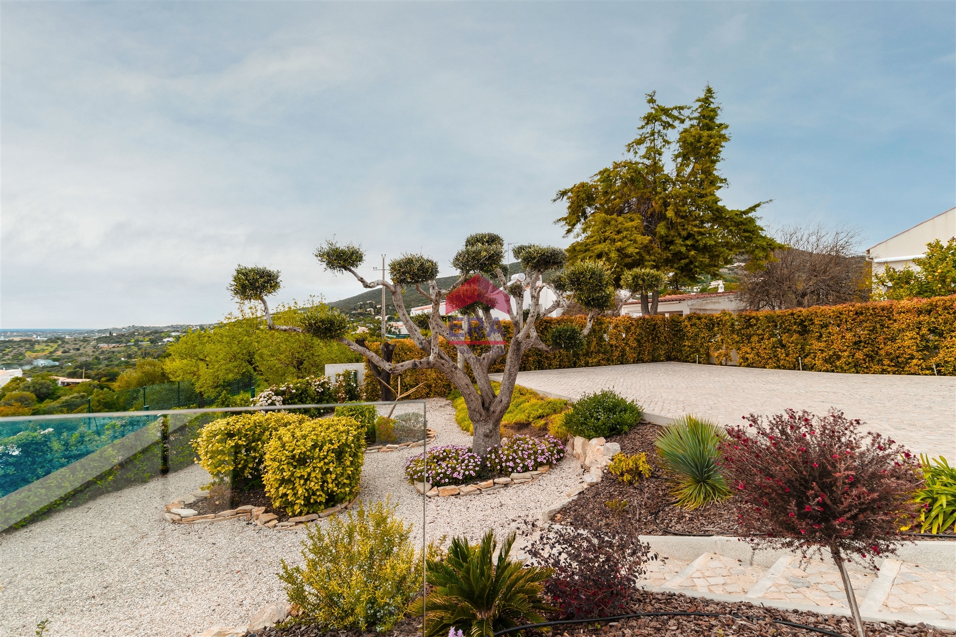 img_18