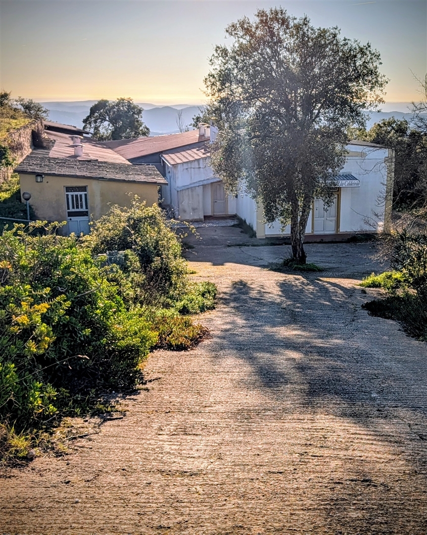 img_1