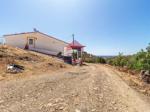 Detached house T1