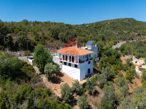 Detached house T4