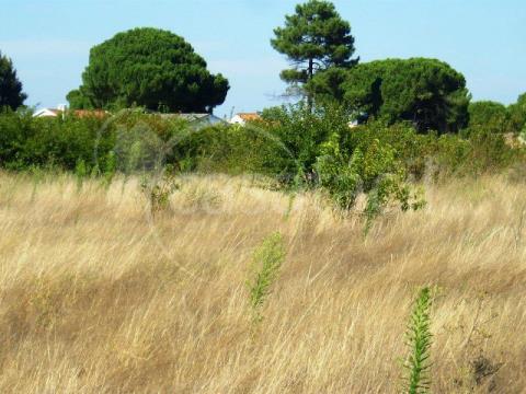 Terrain rural