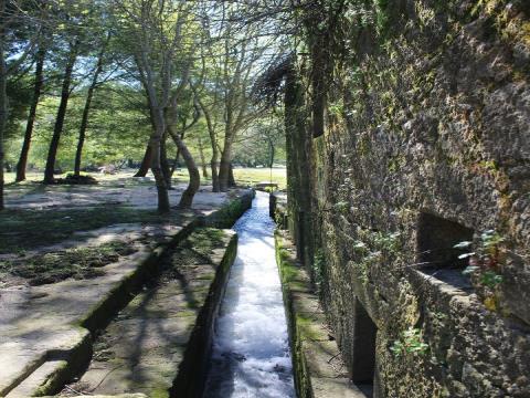 Ausgezeichnete Farm von 2,6 ha 30min von Porto mit Flussufer, Pool und Wassermühle zum Wiederaufbau