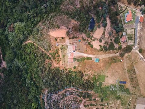 Monte Alentejano com 2.9 hectares, 2 casas independentes + anexo + telheiro