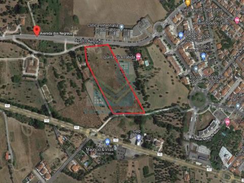 Land for construction with a total area of 22,349 m2, in Torres Novas