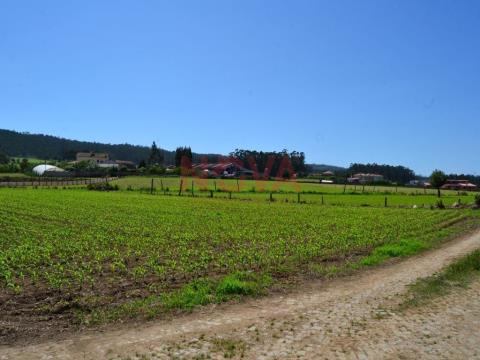 Terreno rústico para atividade agrícola. Póvoa de Varzim &#124;  Nova Imobiliária