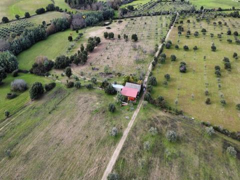 Farm with 23 hectares next to Serra da Gardunha, Soalheira Fundão